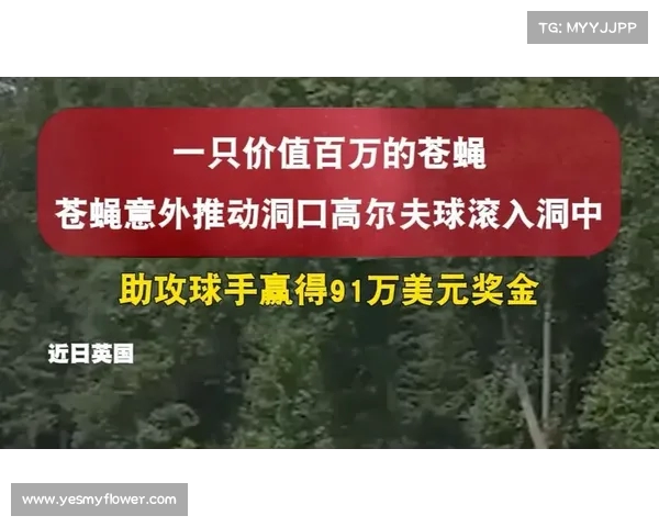 苍蝇意外神助攻 高尔夫球手凭奇遇逆袭赢得91万美元大奖