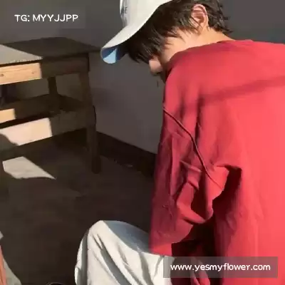 单岑舜